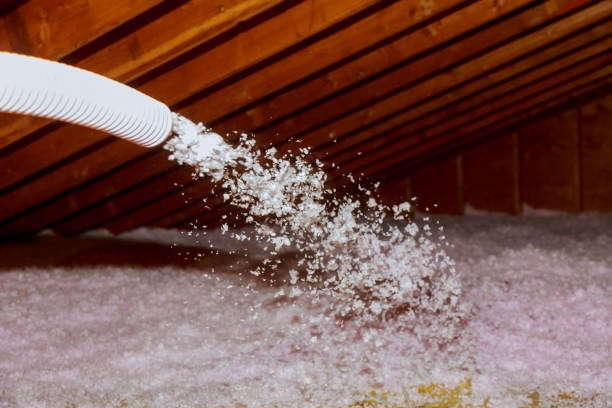 Best Home Insulation Services  in East Sonora, CA