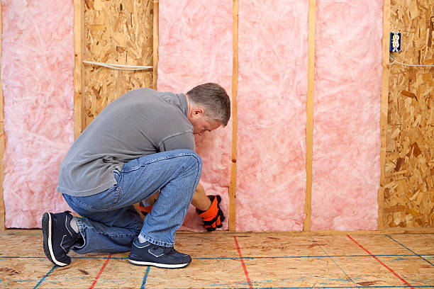 Best Energy-efficient Insulation  in East Sonora, CA